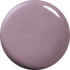 Para Gel 4-Colored Gels DD01 Pa-purissyugure-, G
