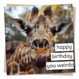 Funny Giraffe Birthday Card for Friend or Loved One - Happy Birthday You Weirdo - For Giraffe or Animal Lovers