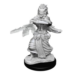 WizKids D&D Nolzur's Marvelous Miniatures: Wave 14: Night Hag & Dusk Hag – Miniatura de Mazmorras y Dragones sin Pintar/cebar Compatible con DND y Otros Juegos de rol de Mesa TTRPG