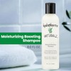 Hydratherma Naturals Moisturizing Boosting Shampoo, 8.0 Fl. Oz