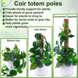 Fabulas Moss Pole 36 Inch - Monstera Plant Support, 2 Pack 20.5 Inch Plant Stakes for Indoor Plants Coco Coir Moss Pole Sticks for Climbing Potted Live Plants, Pothos, Philodendron, with Garden Ties