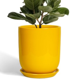 SUNPOTFOR Ceramic Pot for Plants - 10 Inch Plant Pot Indoor with Drainage Hole and Saucer Large Planter for Outdoor Plants Cylinder Decorative Flower Pot Yellow