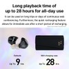 AVIOT TE-J1 Advanced Hybrid Driver,Hybrid Active Noise Cancelling, High-Resolution Audio,