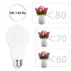 chiphy Light Bulbs, Dimmable LED Light Bulbs, 1200 Lumens, 12W(120W