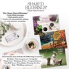 Shared Blessings Celebrations 48 Boxed Birthday Cards with KJV Scripture