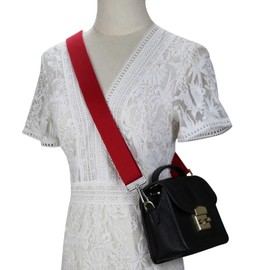 Allzedream Thick Purse Strap Wide Adjustable Replacement Crossbody Bag Handbag, Red-silvery Hardware, Medium, Modern