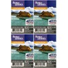 Better Homes and Gardens Caribbean Sea Breeze Wax Cubes -