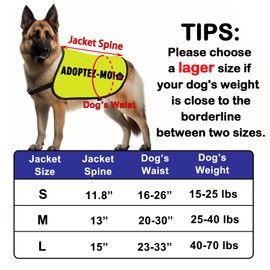 Dog Adoption Jacket Vest Adoptez-Moi Dog Harness Rescue Pitbull Slogan Vest (ADOPTEZ-MOI-Large)