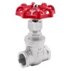 DERPIPE Heavy Duty Gate Valve - 3/4" NPT Stainless Steel