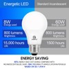 Energetic Light Bulbs 60 Watt Equivalent, A19 Daylight LED Light