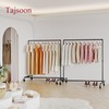 Tajsoon 2 Packs Rolling Clothes Racks for Hanging Clothes Z