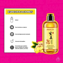 Shampoo Jengibre Anti Caspa Caída Cabello Fríz Hidratante