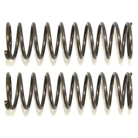 LEFITPA Replacement 2-Pack 501006 Compression Spring for Superior Parts for Paslode F350S F400S F250S-PP F325C PSN100 PSN90 Nailers