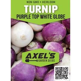 Turnip Seeds for Planting – 200 Non GMO Heirloom Purple Top Turnip Seeds – Full Planting Instructions to Plant Home Outdoor Vegetable Garden – Great Gardening Gift, 1 Packet