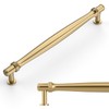 Amerdeco 10 Pack Champagne Bronze Cabinet Pulls 10 Inch(254MM) Hole