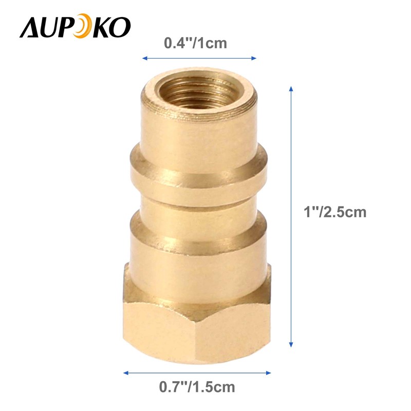 Aupoko A/C Retrofit Valve with Dust Cap, R12 R22 to