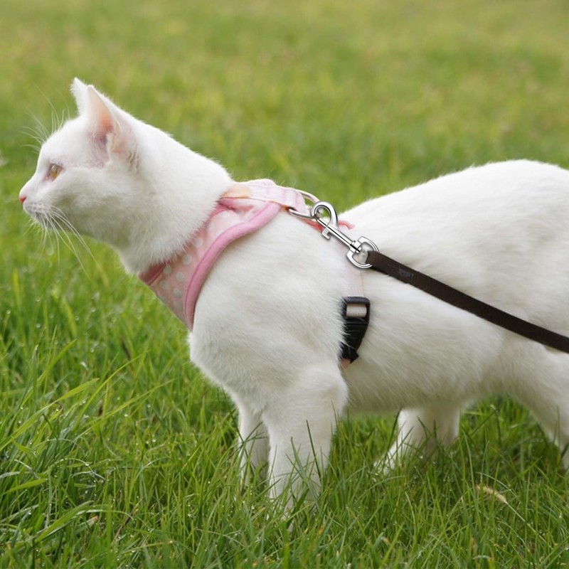 6 Pack Swivel Eye Bolt Snap Hooks for Pet Leash,