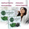 Peppermint Incense Cones - Total 60 Cone Incense - Six
