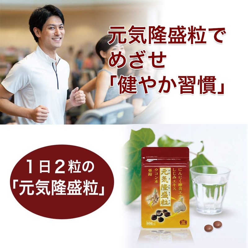 大日ヘルシーフーズ 元気隆盛粒 60粒入 6袋 にんにく卵黄 しじみ ウコン 亜鉛 配合 糖衣粒タイプ
