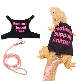 Bearded Dragon Clothes with Leash Set - Handmade Reptile Apparel for Small Pets, Guinea Pigs, and Lizards - Outdoor Walking Training Harness & Photo Prop Costume (Pink)