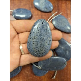 Large Polished Natural Blue Coral Palm Stone Pendant