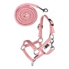 HKM Hobby Horsing Halter Set Basic Halter and Rope for