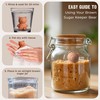 Sifri Art Brown Sugar Keeper 3D – Terracotta Clay Bear