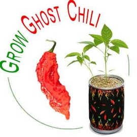 Red Ghost Chili Pepper Grow Kit by Magic Plant – Ignite Your Garden with Fiery Flavor | Convenient DIY All-in-One Kit | Superhot 1 Million+ SHUs | Gift Idea for Indoor or in Garden (2 Kits)