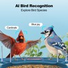 Bird Feeder with Camera,AI Identify Birds Species,Smart Birds Camera with
