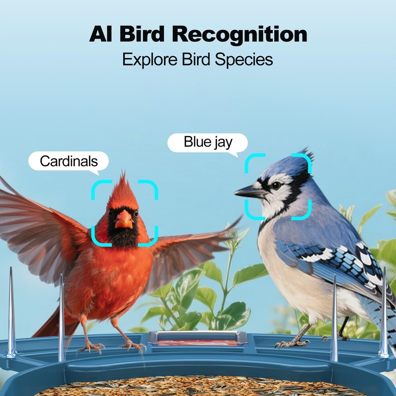 Bird Feeder with Camera,AI Identify Birds Species,Smart Birds Camera with