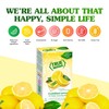 True Lemon 500ct (Pack of 1) - Water Enhancer -