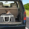 PETSFIT Large Pet Carrier with Wheels Designed for 2 Small
