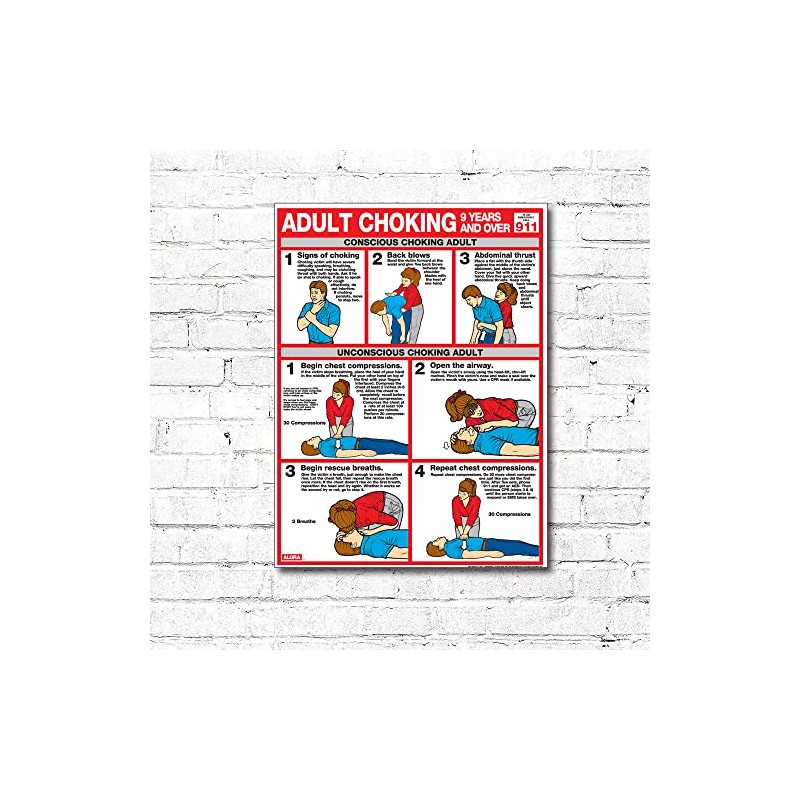 Choking for Adults 18" X 24" Laminated Poster