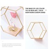 LMYDIDO Set of 3 Hexagon Wall Shelves, Hanging Shelves, Metal