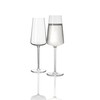 Schott Zwiesel Passionata Champagne Glass x2