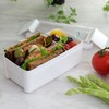 Iwasaki Industrial Lunch Box, 1-Tier, 18.3 fl oz (520 ml),