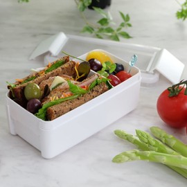 Iwasaki Industrial Lunch Box, 1-Tier, 18.3 fl oz (520 ml), White, Easy Care