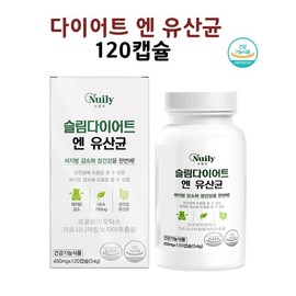 비쓰리 유산균 비피더스 b3 다이어트 유산균 비피도 박테리움 비피덤 효능 120캡슐 B3 Probiotic Bifidus b3 Diet Probiotic Bifidobacterium Bifidum Benefits 120 Capsules