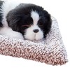 Actived Carbon Dog Plush Toy Odor Removal Air Purification Sleeping