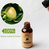 MKKENLEY Best Beard Growth Oil Serum Fast Promote Thick Beard