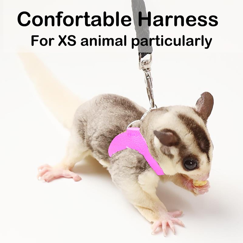 3 Pack Sugar Glider Harness and Leash Set Small Animal