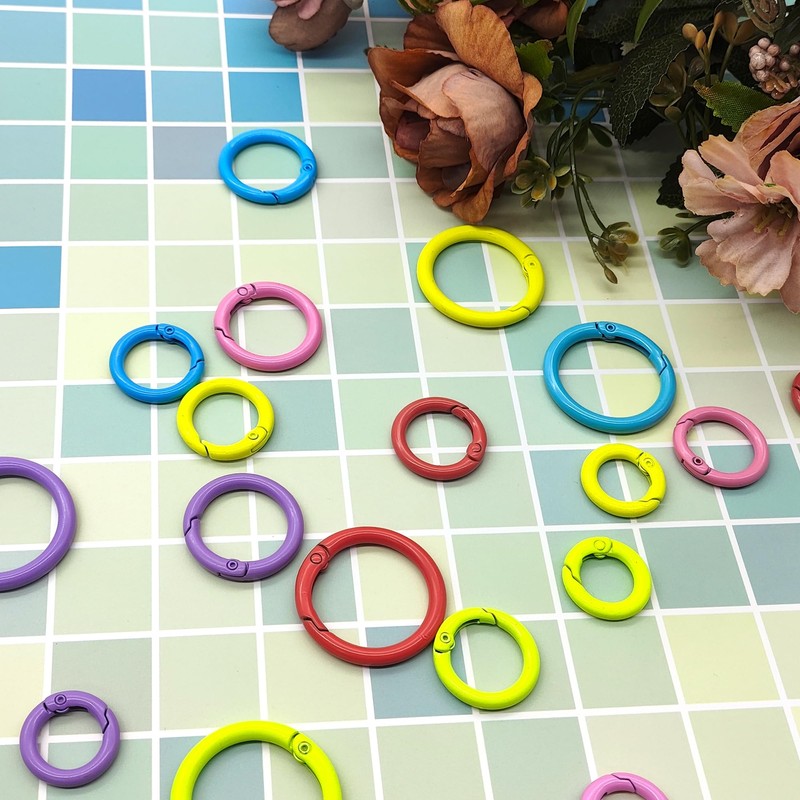 LIANCHEN 24 Pieces 6 Colours Round Carabiner Key Ring Round