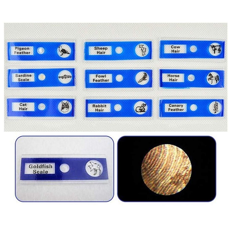 JZK 48 x Plastic Microscopes Slides for Children with Animals,