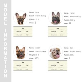 iChoue Original Print French Bulldog Bandanas Washable Bibs Adjustable Triangle Scarfs for Frenchie Pug English Boston Terrier Dogs, Black Diamond, Large