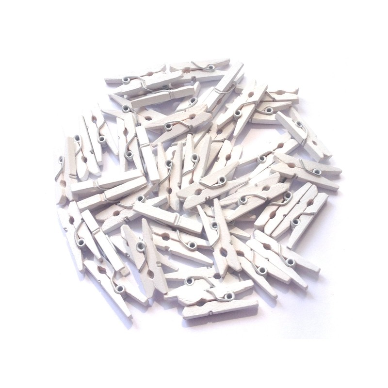 LWR CRAFTS Wooden Mini Clothes Pegs 15 Colors 100 Per