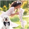 Locmeo 3 Pcs Dog Wedding Collar Outfit Include Dog Tuxedo
