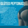 Kit 3 Frascos De Suplemento Glúteo Peptonas 90 Cáps Colágeno
