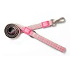 Max & Molly Classic Dog Leash, Comfort Grip Handle, Durable