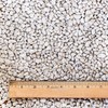 Tank's Horticultural Pumice 16qt - 15lbs