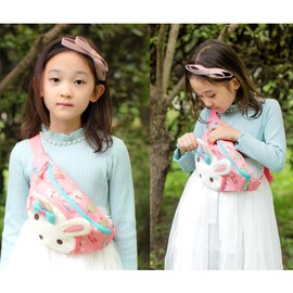 Waist Fanny Hip Pack Pouch Crossbody Waist Coin Purse Bag Childs bumbag for Kids, Children, Girls, Boys (Roraailey Charming)